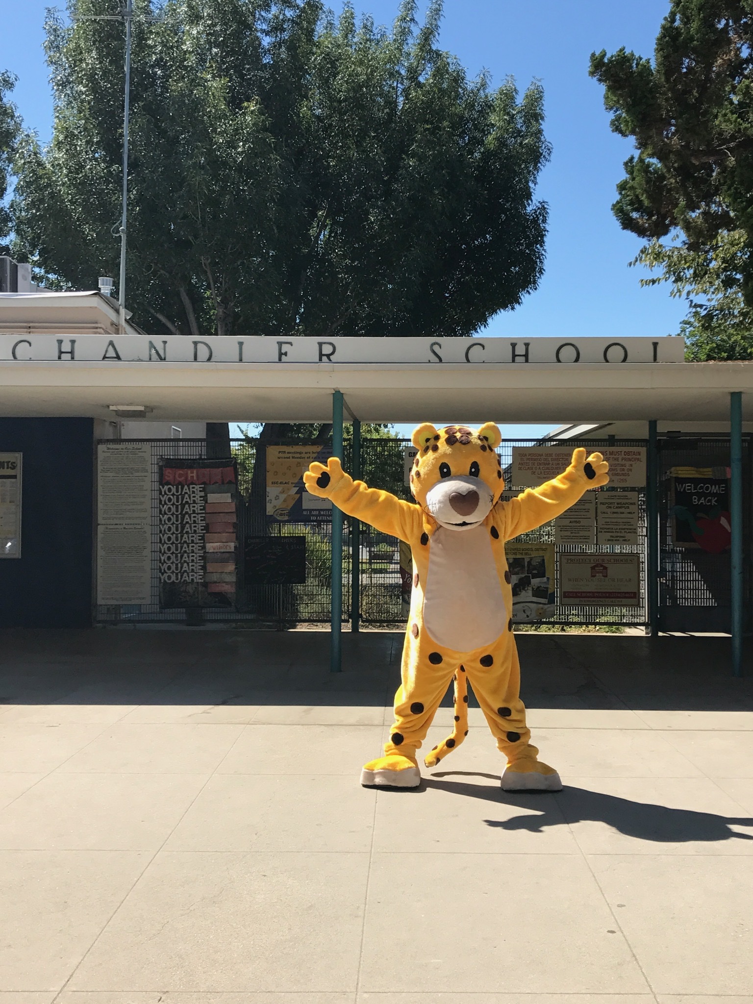 Chandler Elementary Lausd School Search Chandler Elementary Lausd School Search